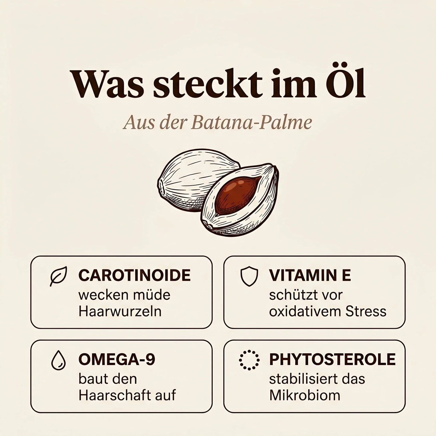 Was steckt im Batana Öl - Inhaltsstoffe