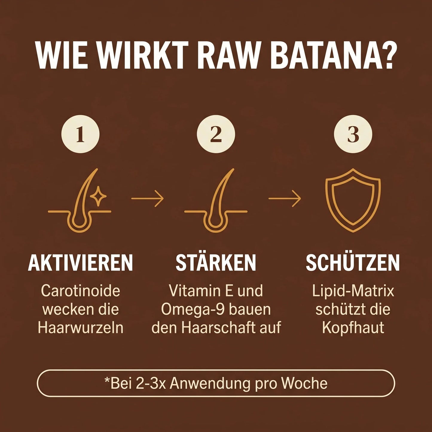 Wie wirkt Raw Batana - 3-Schritt Mechanismus