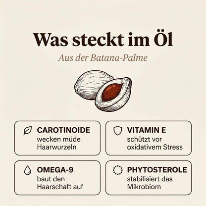 Was steckt im Batana Öl - Inhaltsstoffe