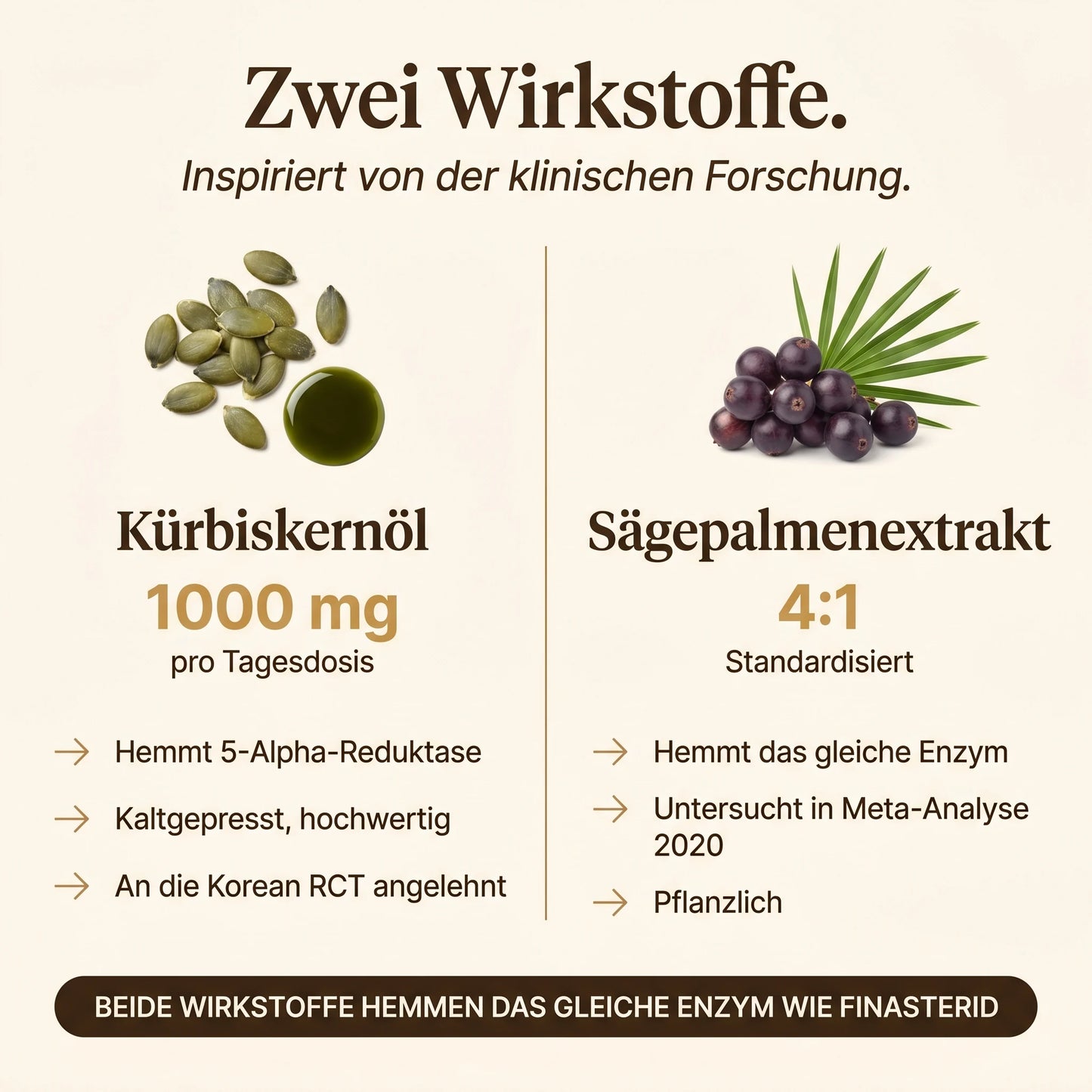 Zwei Wirkstoffe: Kürbiskernöl 1000 mg pro Tagesdosis und Sägepalmenextrakt 4:1 standardisiert, inspiriert von der klinischen Forschung.