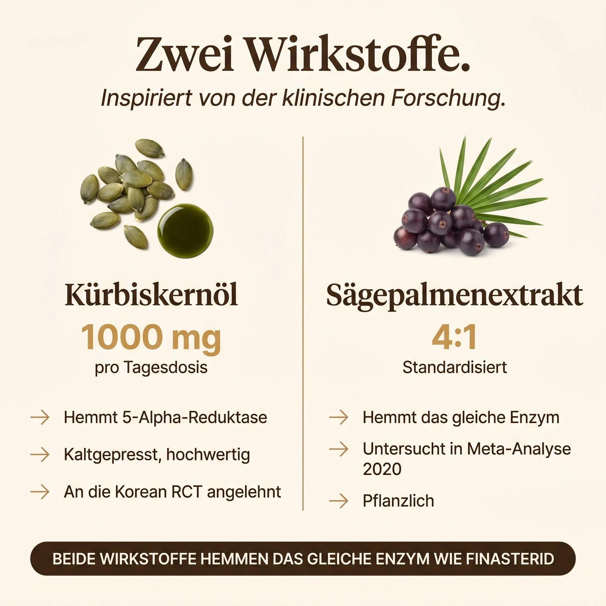 Zwei Wirkstoffe: Kürbiskernöl 1000 mg pro Tagesdosis und Sägepalmenextrakt 4:1 standardisiert, inspiriert von der klinischen Forschung.