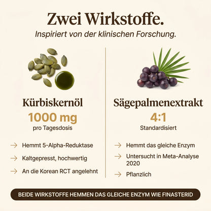 Zwei Wirkstoffe: Kürbiskernöl 1000 mg pro Tagesdosis und Sägepalmenextrakt 4:1 standardisiert, inspiriert von der klinischen Forschung.