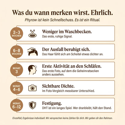 Ehrlicher Zeitstrahl was du wann merken wirst von Woche 2-3 bis Monat 6-12.