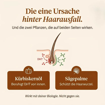 Phyrow Haardichte Formel